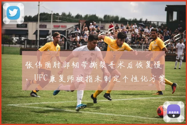 张伟丽肘部韧带撕裂手术后恢复慢，UFC康复师被指未制定个性化方案