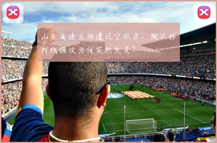 山东高速主场遭辽宁双杀,陶汉林内线强攻为何突然失灵?