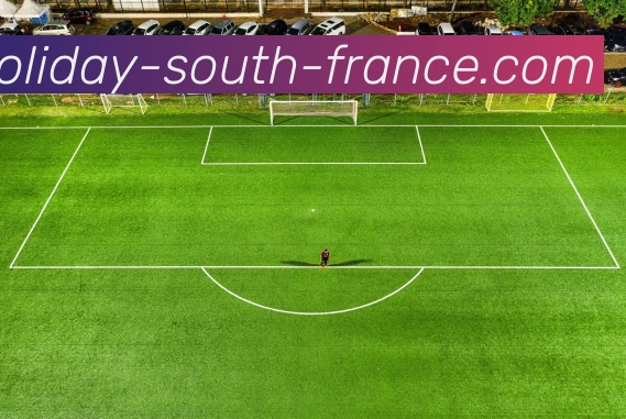互动解说服务